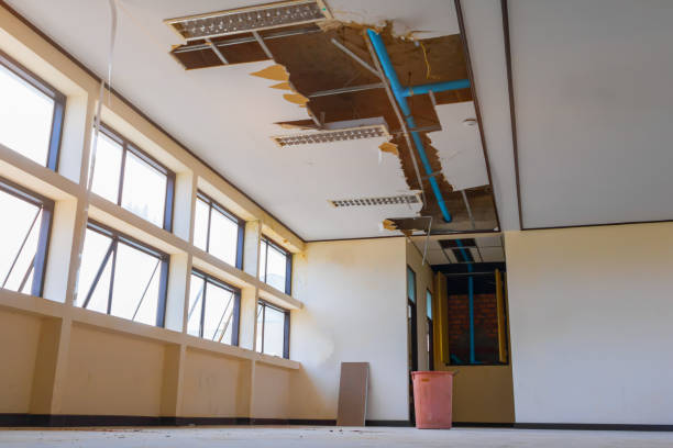 Trusted Farley, IA Water damage restoration Experts