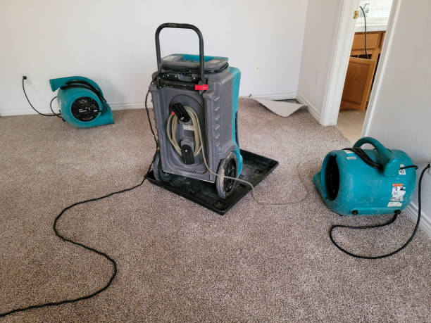 Best Local water damage restoration  in Farley, IA