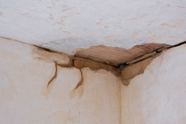 Best Water damage restoration company  in Farley, IA