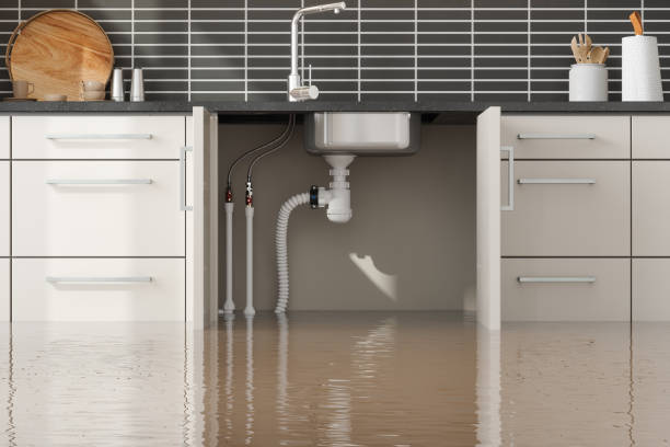 Best Mold removal after water damage  in Farley, IA